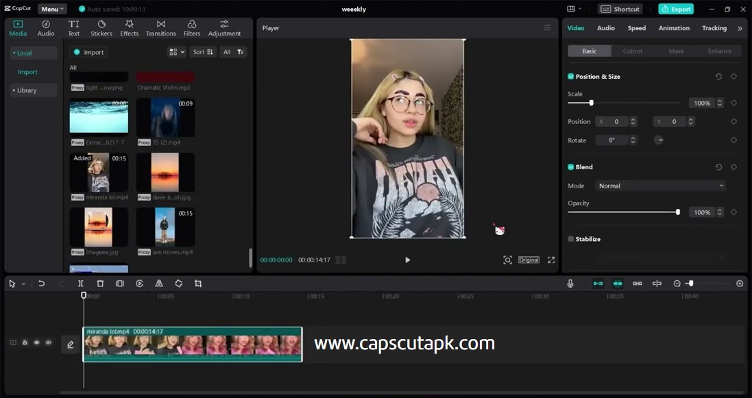 capcut aspect ratio settings